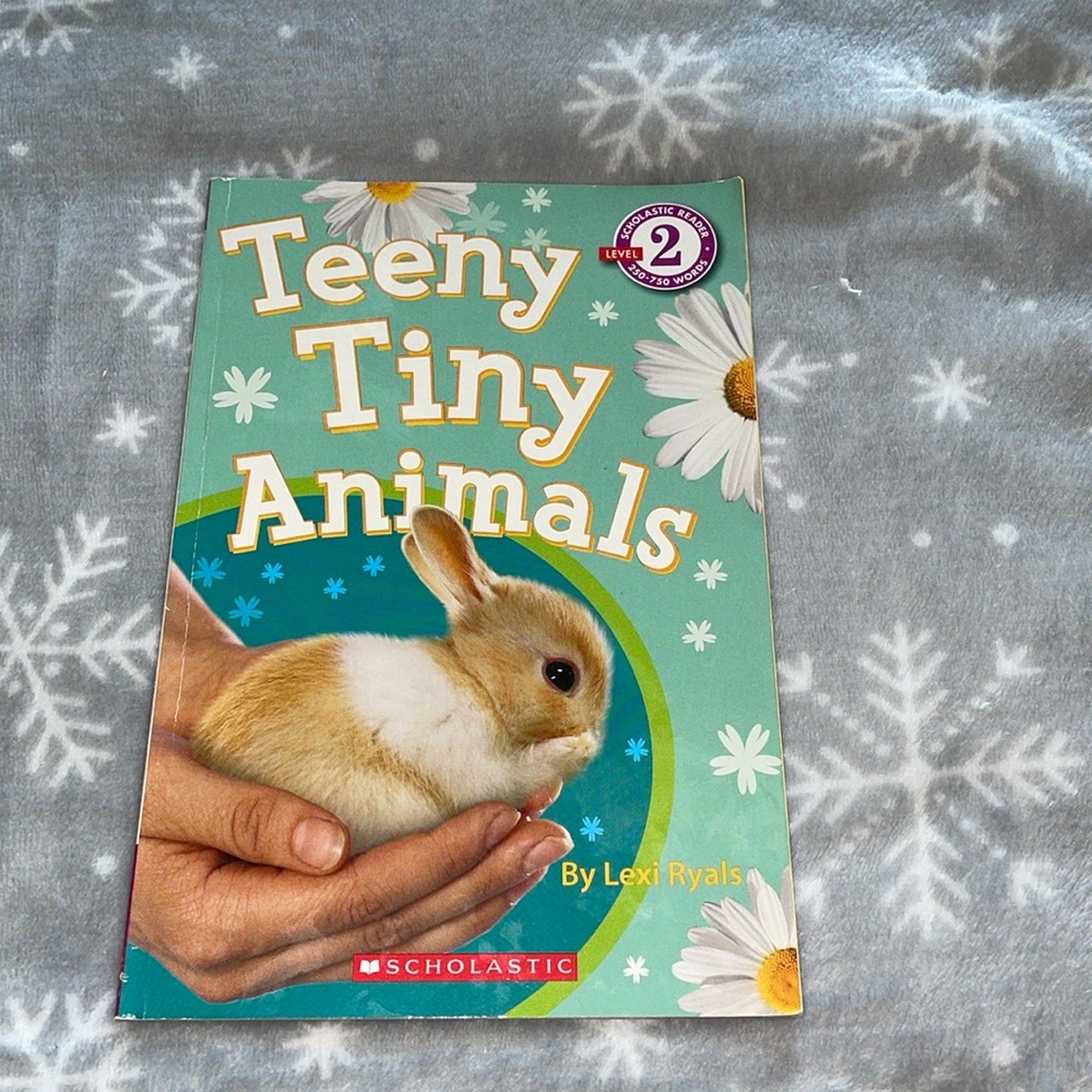 Teeny Tiny Animals Book